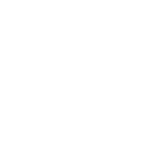 Sacral-Solutions-spinal-home